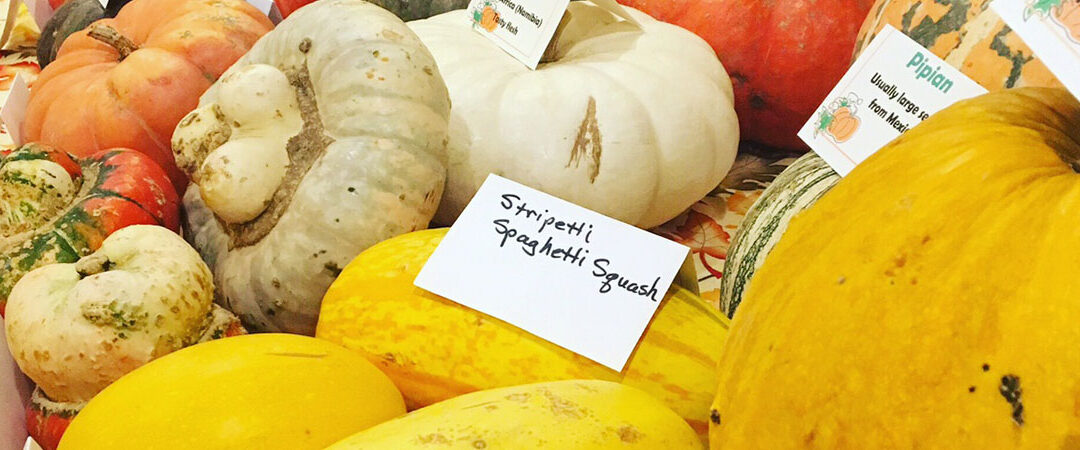 Zehnder’s Squashtoberfest Cooking Contest Winners Announced