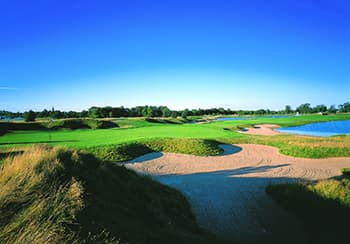 Book a Tee Time Book a Tee Time